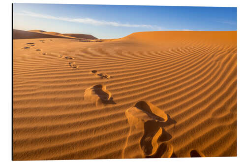 Tableau en aluminium Empreintes de pas sur les dunes du Sahara, Maroc