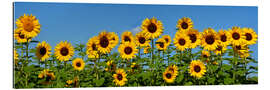 Gallery print Sunny Day