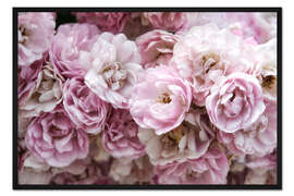 Gerahmter Kunstdruck Rosen
