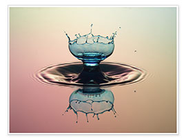 Tableau  Calice en goutte d&#039;eau - Stephan Geist