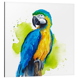 Aluminium print Dazzling Macaw