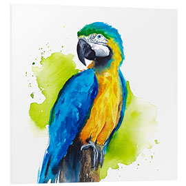 Foam board print Dazzling Macaw