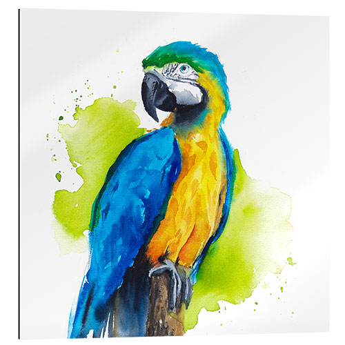 Gallery print Dazzling Macaw