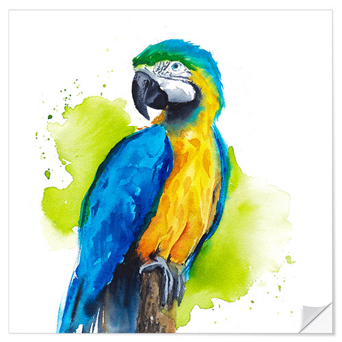 Selvklebende plakat Dazzling Macaw