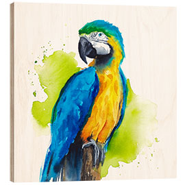 Wood print Dazzling Macaw