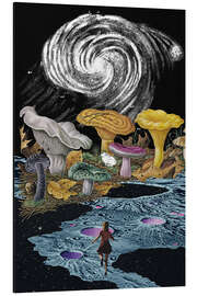 Magnettafel Folge dem weißen Hasen