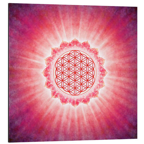 Aluminiumsbilde Flower of Life - morning sun