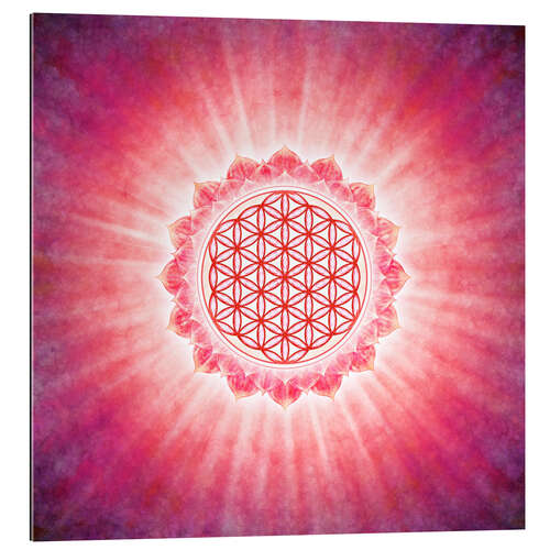 Gallery print Flower of Life - morning sun