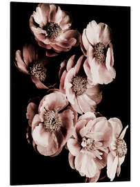 Aluminium print Summer blossoms