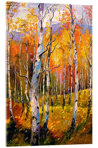 Acrylglas print Birches in the sun