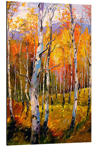 Aluminium print Birches in the sun