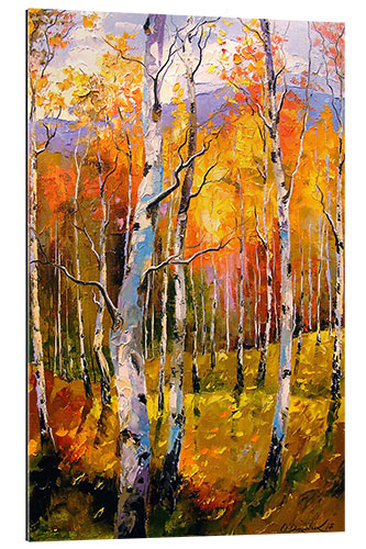 Gallery print Birches in the sun