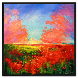 Gerahmter Kunstdruck Sonnenuntergang über dem Mohnfeld