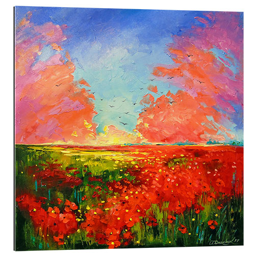 Quadro em plexi-alumínio Pôr do sol sobre o campo de papoulas