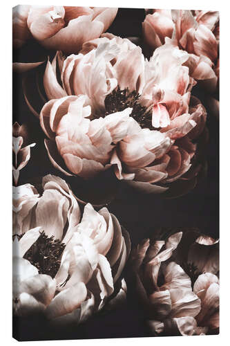 Canvas print Peony Garden I