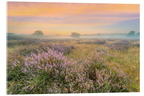 Acrylic print Heathland in the fog