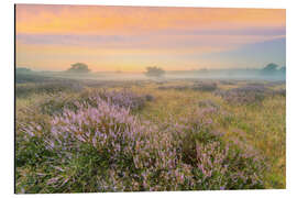 Aluminium print Heathland in the fog