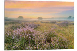 Quadro em plexi-alumínio Heathland no nevoeiro