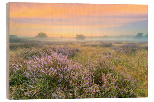 Wood print Heathland in the fog