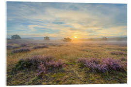 Acrylic print Sunrise in the Westruper Heide