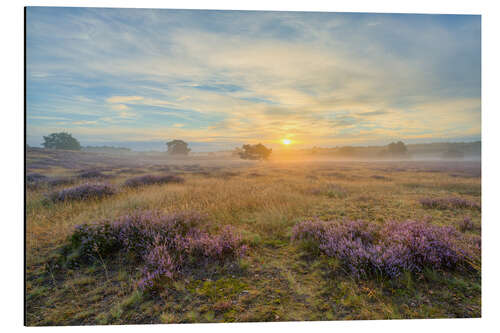 Cuadro de aluminio Amanecer en Westruper Heide