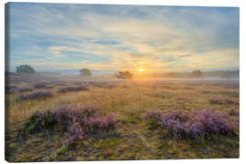 Leinwandbild Sonnenaufgang in der Westruper Heide