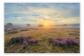 Poster Sunrise in the Westruper Heide