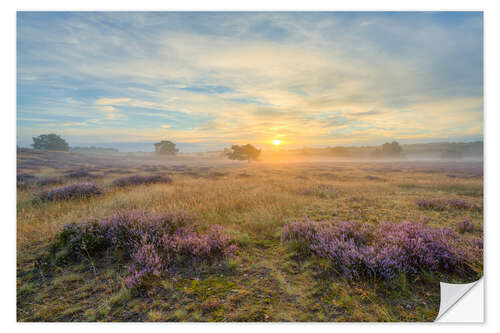 Wandsticker Sonnenaufgang in der Westruper Heide