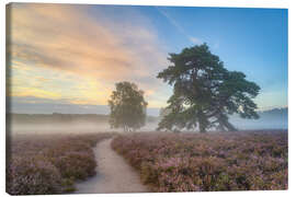 Leinwandbild Morgennebel in der Westruper Heide