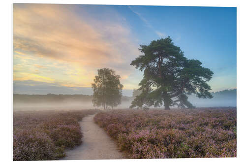 Foam board print Morning mist in the Westruper Heide