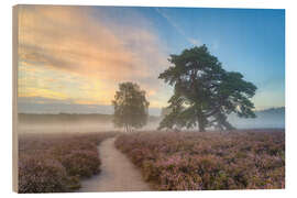 Wood print Morning mist in the Westruper Heide