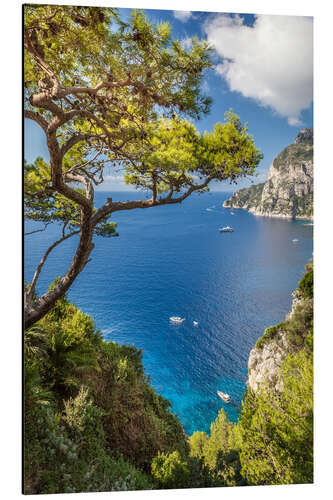 Alumiinitaulu Azure Sea in front of Capri