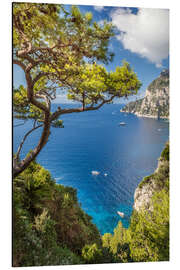 Quadro em alumínio Mar Azul na frente de Capri