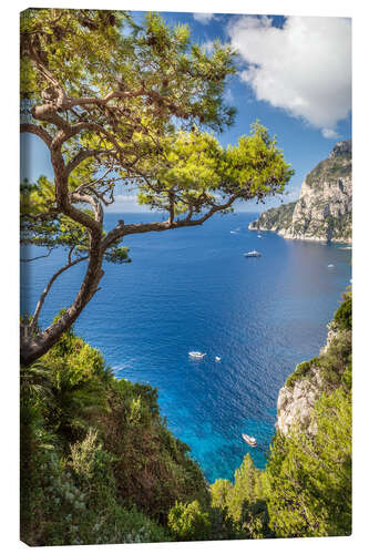 Canvastavla Azure Sea in front of Capri