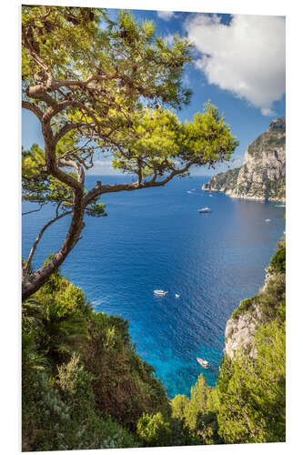 Foam board print Azure Sea in front of Capri