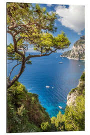 Galleritryck Azure Sea in front of Capri