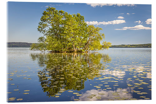 Cuadro de metacrilato Isla árbol en el lago, Suecia