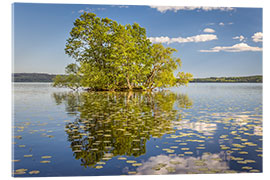 Akrylglastavla Tree island in the lake, Sweden