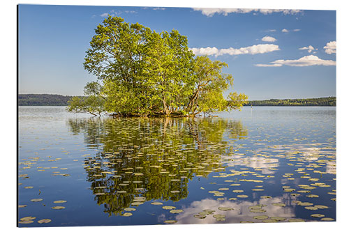 Aluminiumsbilde Tree island in the lake, Sweden