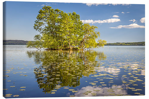 Leinwandbild Bauminsel im See, Schweden