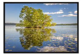 Gerahmter Kunstdruck Bauminsel im See, Schweden