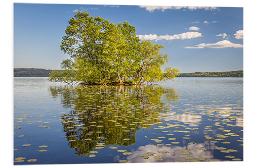 PVC-tavla Tree island in the lake, Sweden