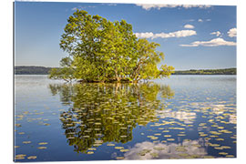 Tableau en plexi-alu Île-arbre sur le lac en Suède