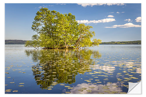 Wall sticker Tree island in the lake, Sweden