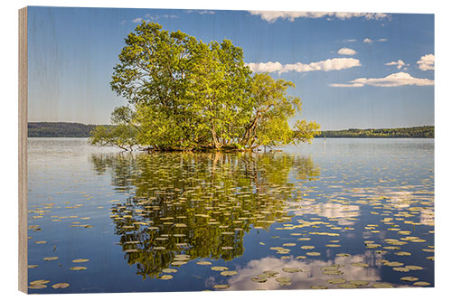 Trätavla Tree island in the lake, Sweden