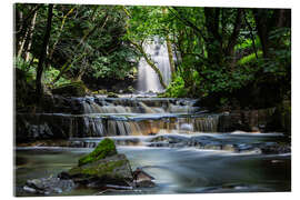 Akrylbillede  Picturesque waterfall - Paul Heasman