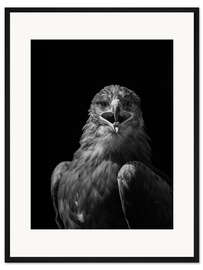 Gerahmter Kunstdruck Majästetischer Adler