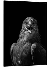 Magnettafel Majästetischer Adler