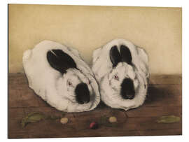 Aluminium print Two Himalayan Rabbits