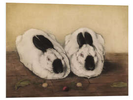 Foam board print Two Himalayan Rabbits